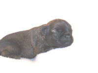 click here to see me grow!