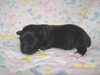 click here to see me grow
