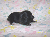 click here to see me grow