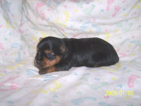 click here to see me grow!