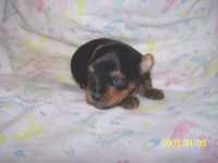 click here to see me grow