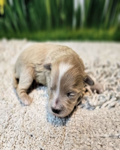 click on me to go to my page