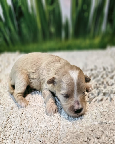 click on me to go to my page