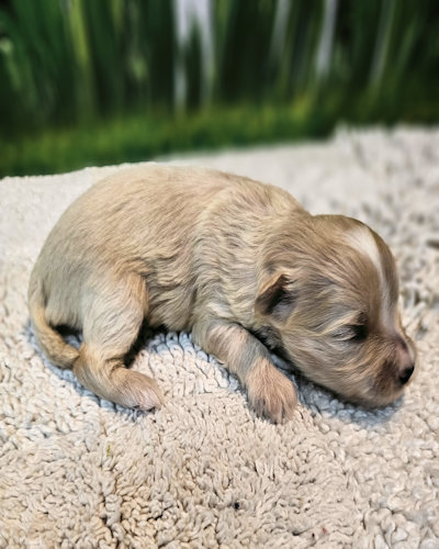 click on me to go to my page