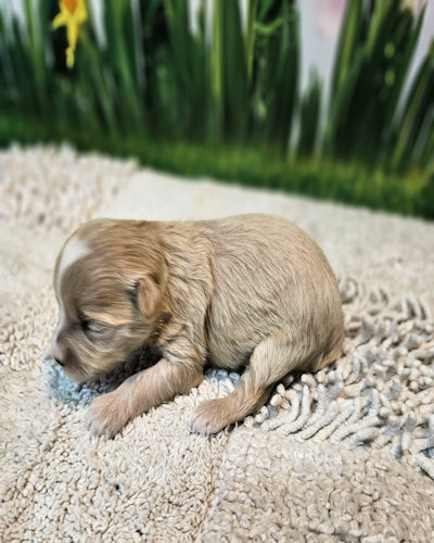 click on me to go to my page