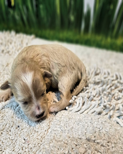 click on me to go to my page