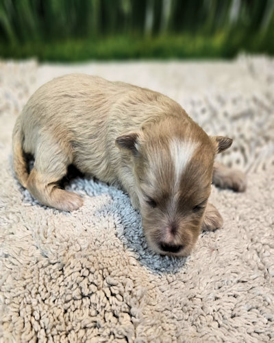 click on me to go to my page