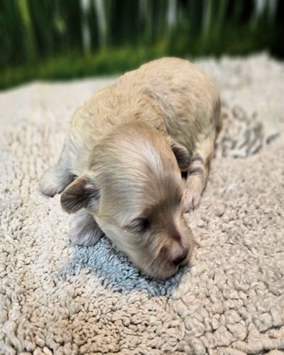 click on me to go to my page