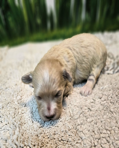 click on me to go to my page