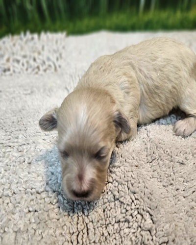 click on me to go to my page