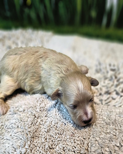 click on me to go to my page