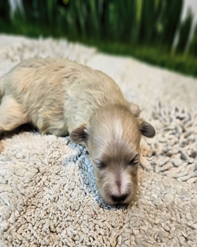 click on me to go to my page