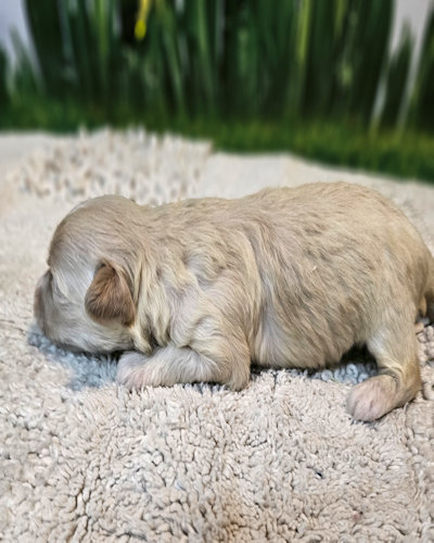 click on me to go to my page