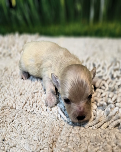 click on me to go to my page