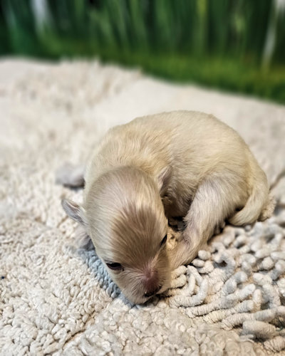 click on me to go to my page