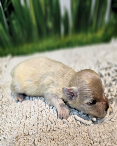 click on me to go to my page