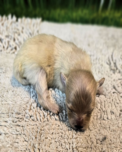 click on me to go to my page