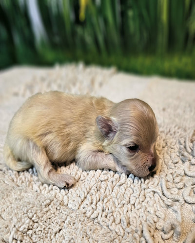 click on me to go to my page