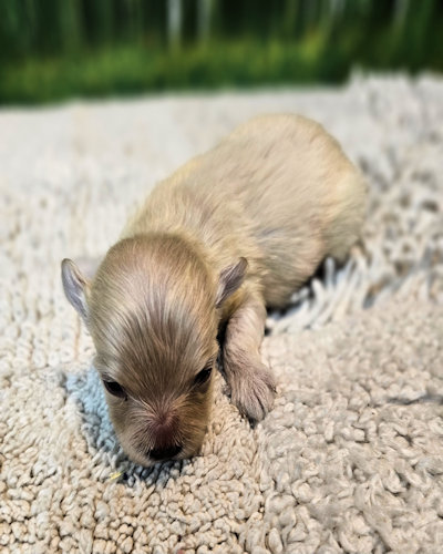 click on me to go to my page