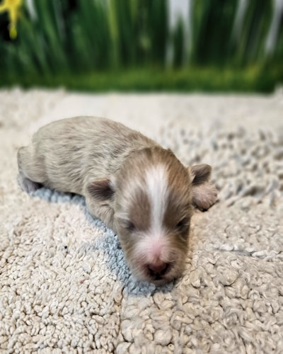 click on me to go to my page