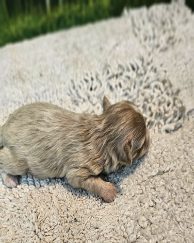 click on me to go to my page