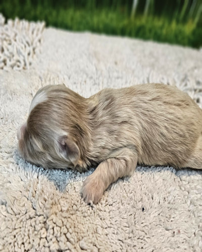 click on me to go to my page