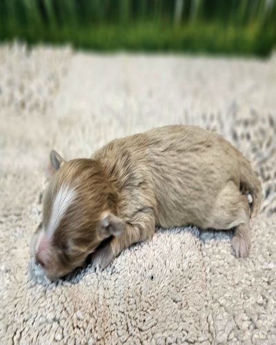 click on me to go to my page