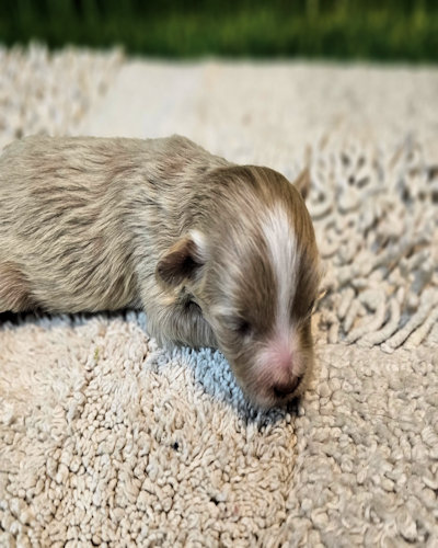 click on me to go to my page