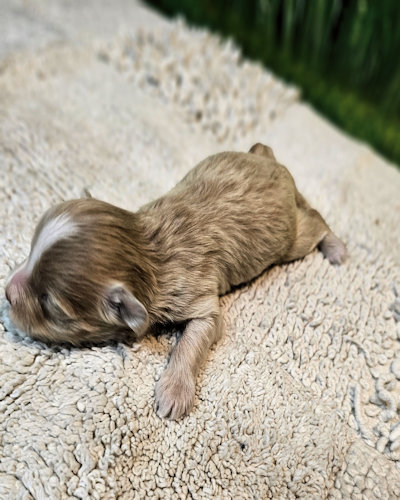 click on me to go to my page