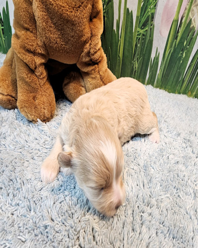 click on me to go to my page