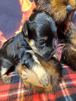 click on me to go to my page