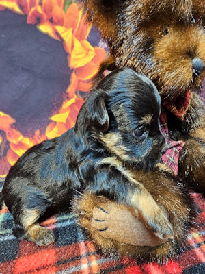 click on me to go to my page