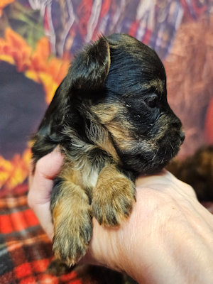 click on me to go to my page