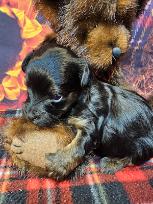 click on me to go to my page