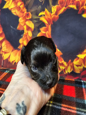 click on me to go to my page