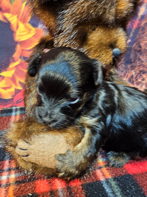 click on me to go to my page