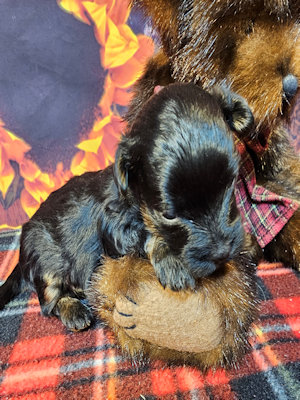 click on me to go to my page