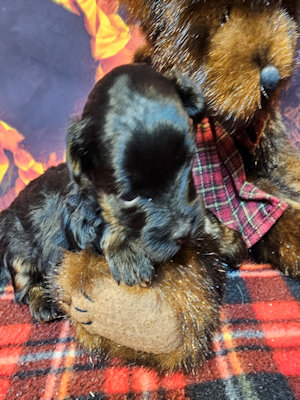 click on me to go to my page