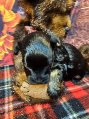 click on me to go to my page