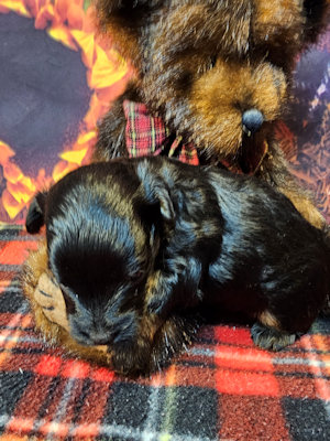 click on me to go to my page