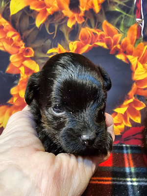 click on me to go to my page