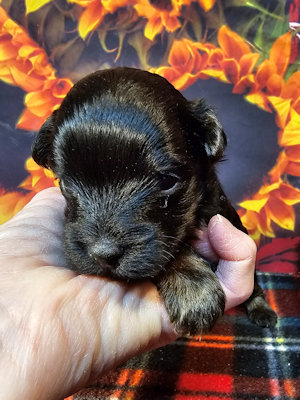 click on me to go to my page