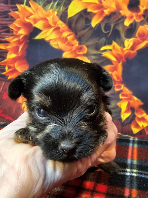 click on me to go to my page