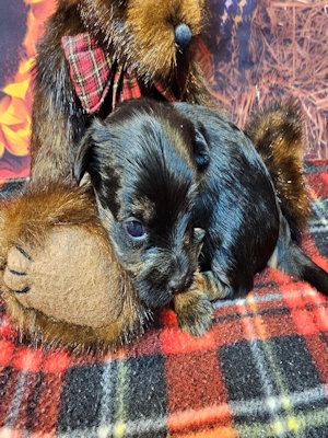 click on me to go to my page