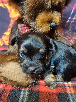 click on me to go to my page