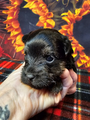 click on me to go to my page