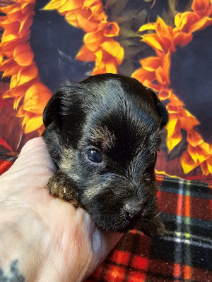 click on me to go to my page