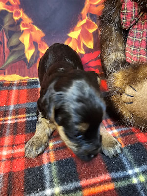 click on me to go to my page