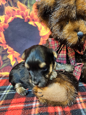 click on me to go to my page