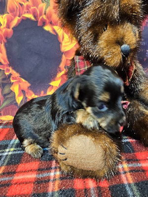 click on me to go to my page